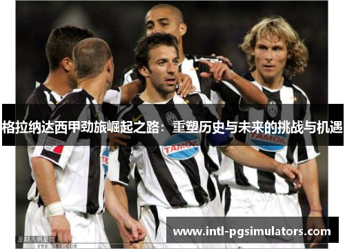 格拉纳达西甲劲旅崛起之路：重塑历史与未来的挑战与机遇