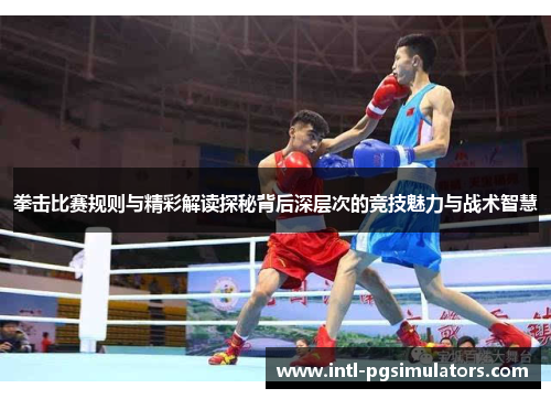 拳击比赛规则与精彩解读探秘背后深层次的竞技魅力与战术智慧