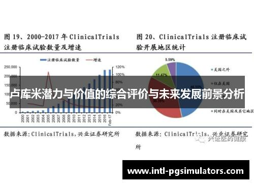 卢库米潜力与价值的综合评价与未来发展前景分析