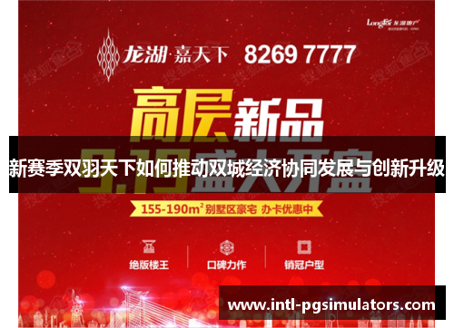 新赛季双羽天下如何推动双城经济协同发展与创新升级