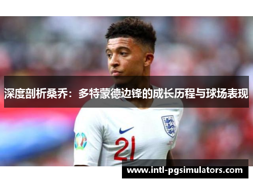 深度剖析桑乔：多特蒙德边锋的成长历程与球场表现