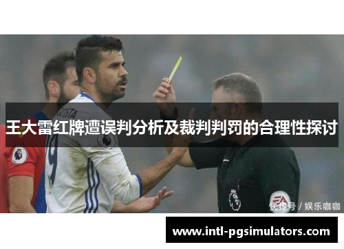 王大雷红牌遭误判分析及裁判判罚的合理性探讨