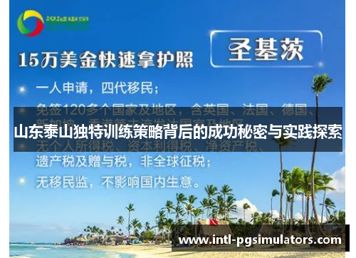 山东泰山独特训练策略背后的成功秘密与实践探索