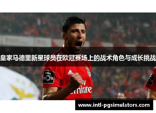 皇家马德里新星球员在欧冠赛场上的战术角色与成长挑战