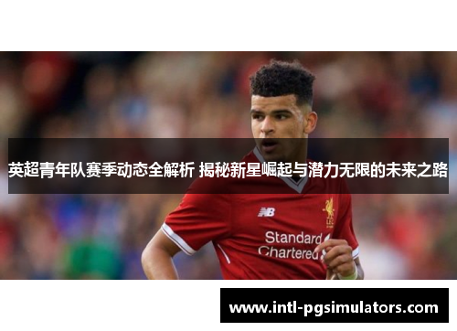 英超青年队赛季动态全解析 揭秘新星崛起与潜力无限的未来之路