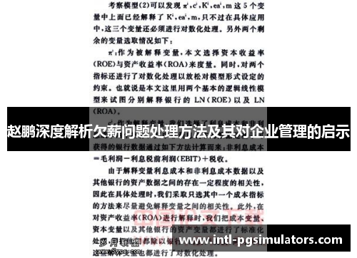 赵鹏深度解析欠薪问题处理方法及其对企业管理的启示